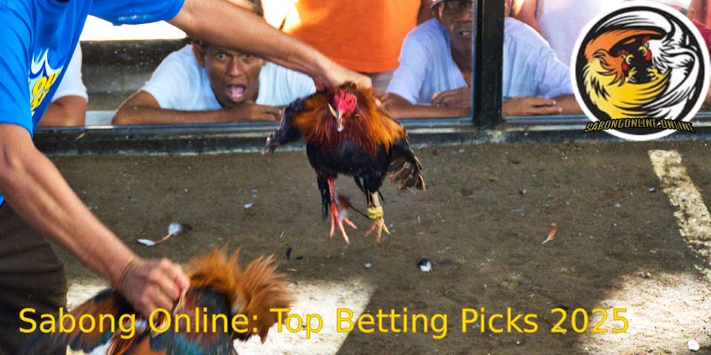 Sabong-Online_-Top-Betting-Picks-2025