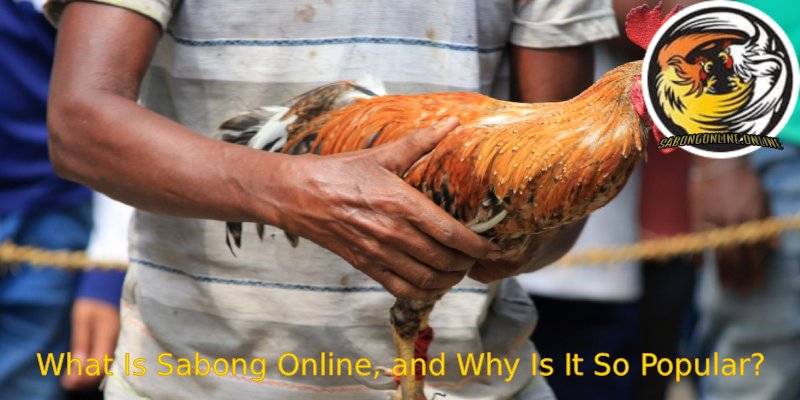 What-Is-Sabong-Online-and-Why-Is-It-So-Popular