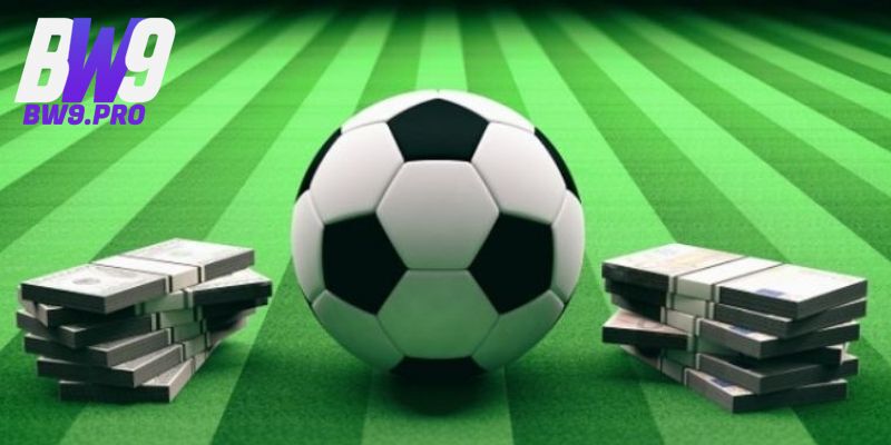 Outstanding Promotions & Reward Programs at BW9