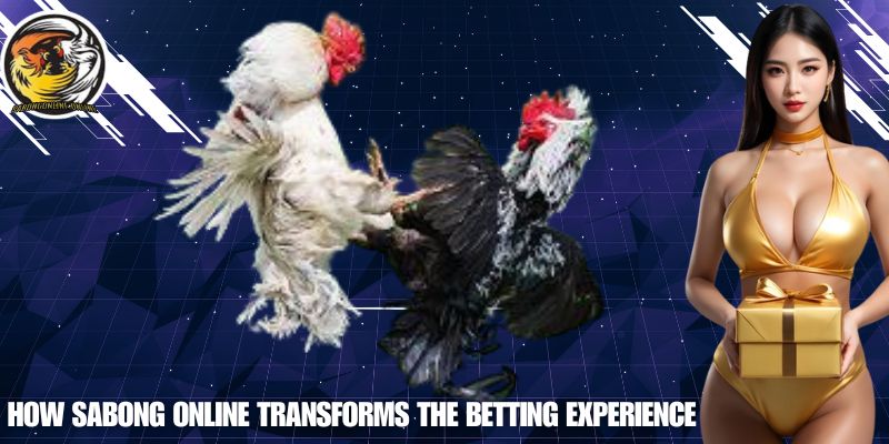 How SABONG ONLINE Transforms the Betting Experience