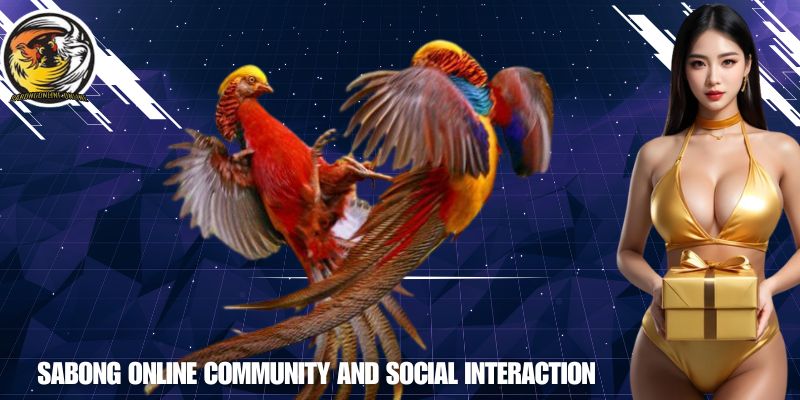 SABONG ONLINE Community and Social Interaction